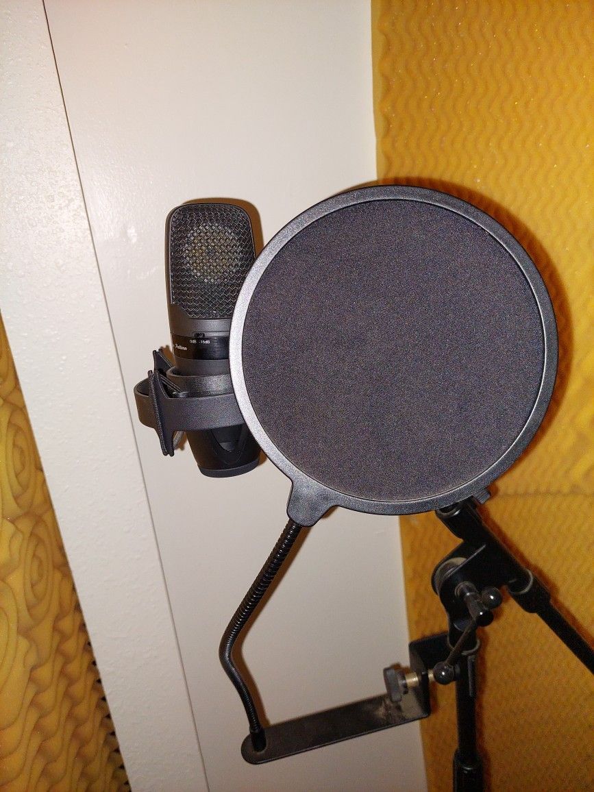 Shure Condensed Mic