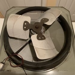 AC Fan motor