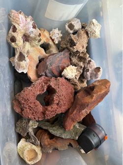 Aquarium lava rocks and shells