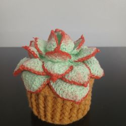 Handmade Crochet Succulent In Pot