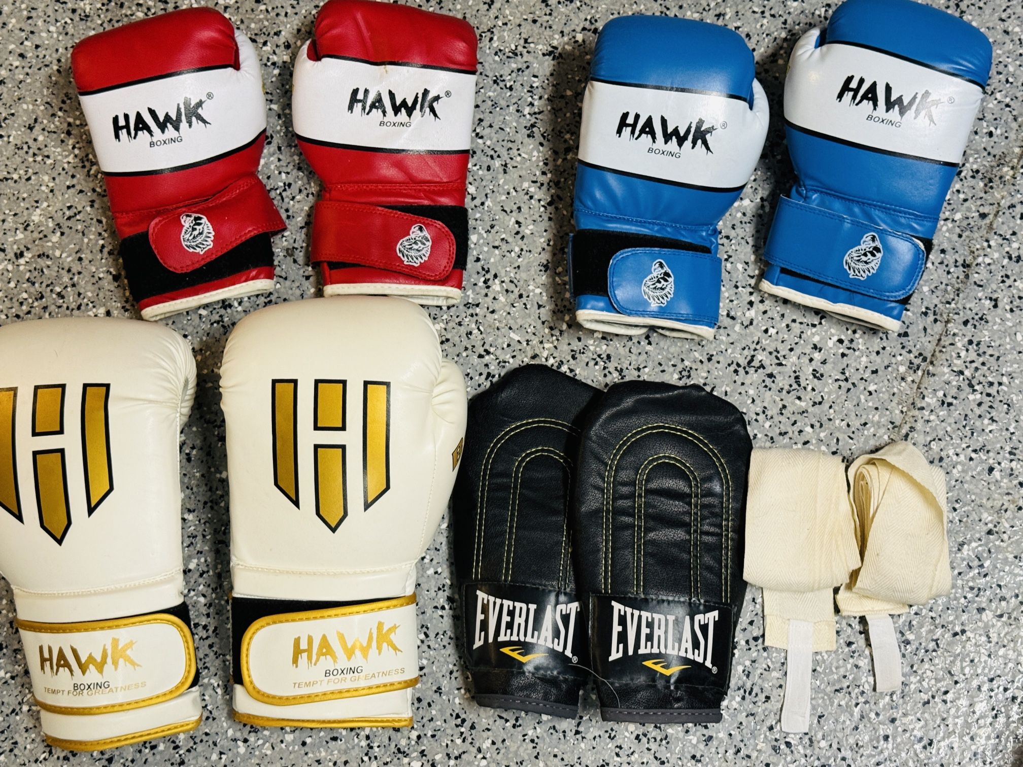 π₯ Boxing Gloves Bundle β Kids & Adult Gloves + Everlast Mitts (Like New)