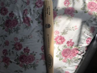 Bat Day