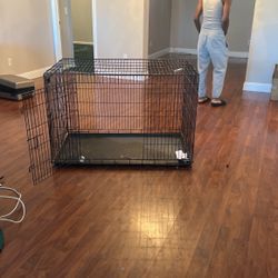 Huge Dog cage