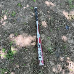 Bat