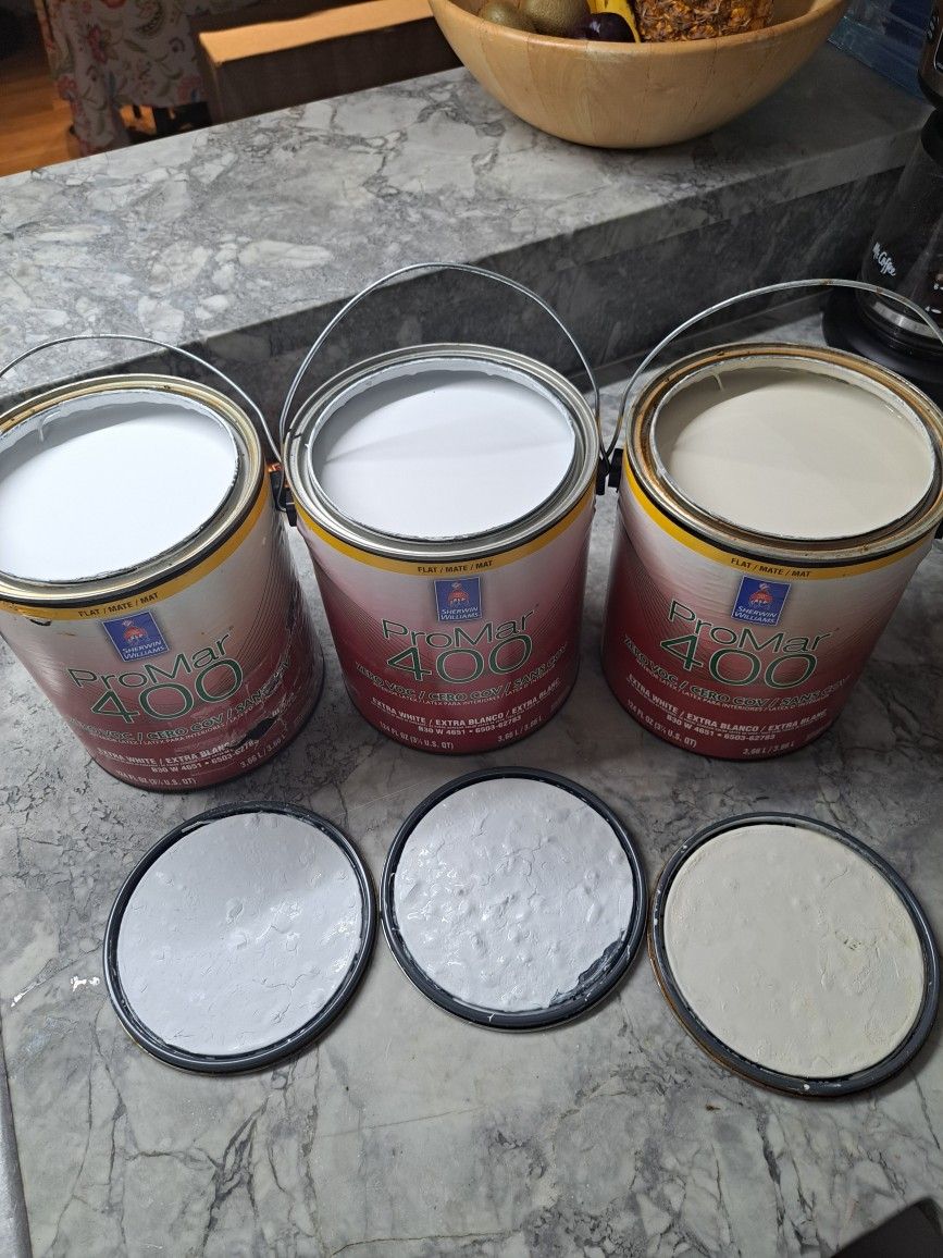 3 Gallons $60 Flat Paint Sherwin Williams