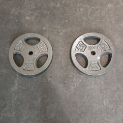 CAP 25lb Standard 1inch Grip Plates Weight Plates 