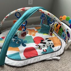 Baby Play Gym