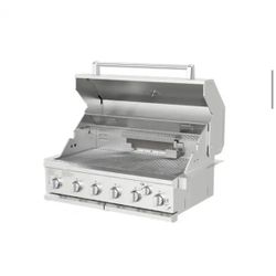 SPIRE 6-Burner Built-In Propane Gas Island Grill Head in Stainless Steel with Rear Burner