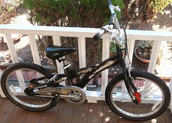 Schwinn Bicycle 20-inch Child's
