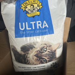 Cat 🐈 