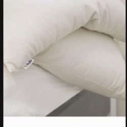 Hullo Buckwheat Pillow (Standard Size