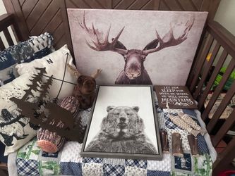 Wilderness boy room decor