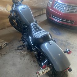 2022 Harley Davidson Iron Sportster XL883N