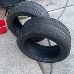 Mustang Tires 