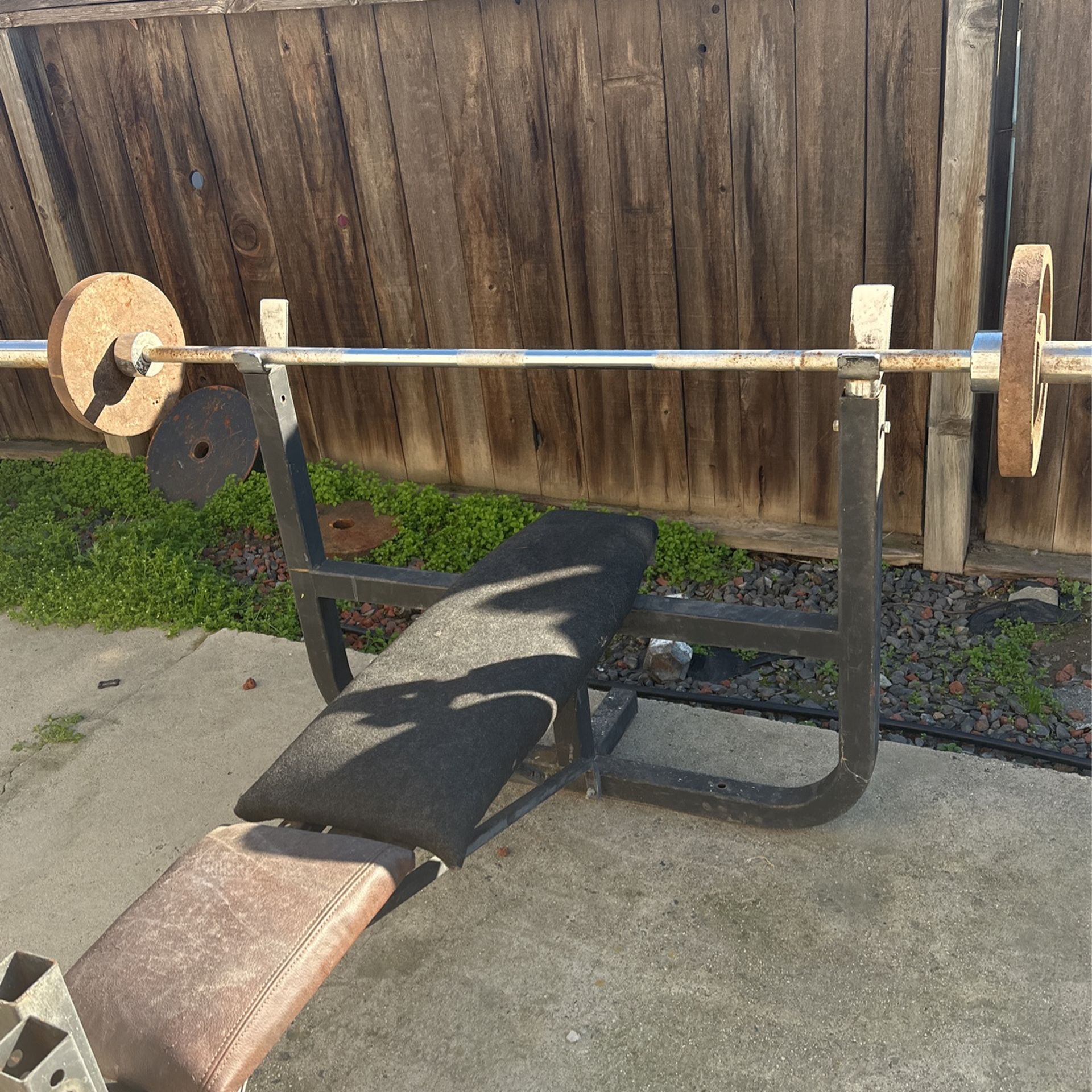 Bench , Plates, standard bar, curl bar