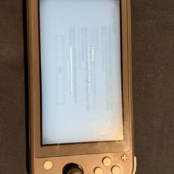 Nintendo Switch Lite 