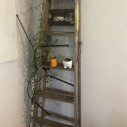 Old ladder Plant Stand  WITH grow lights