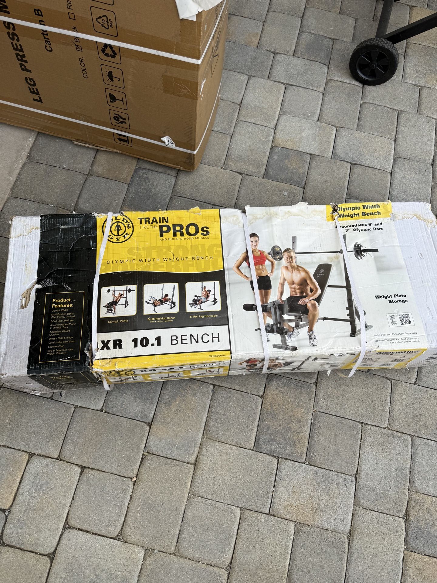 Golds gym 3in1 workout bench