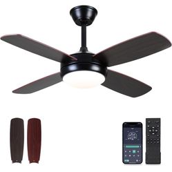 Ceiling Fans with Lights - 42" Black Outdoor Ceiling Fan