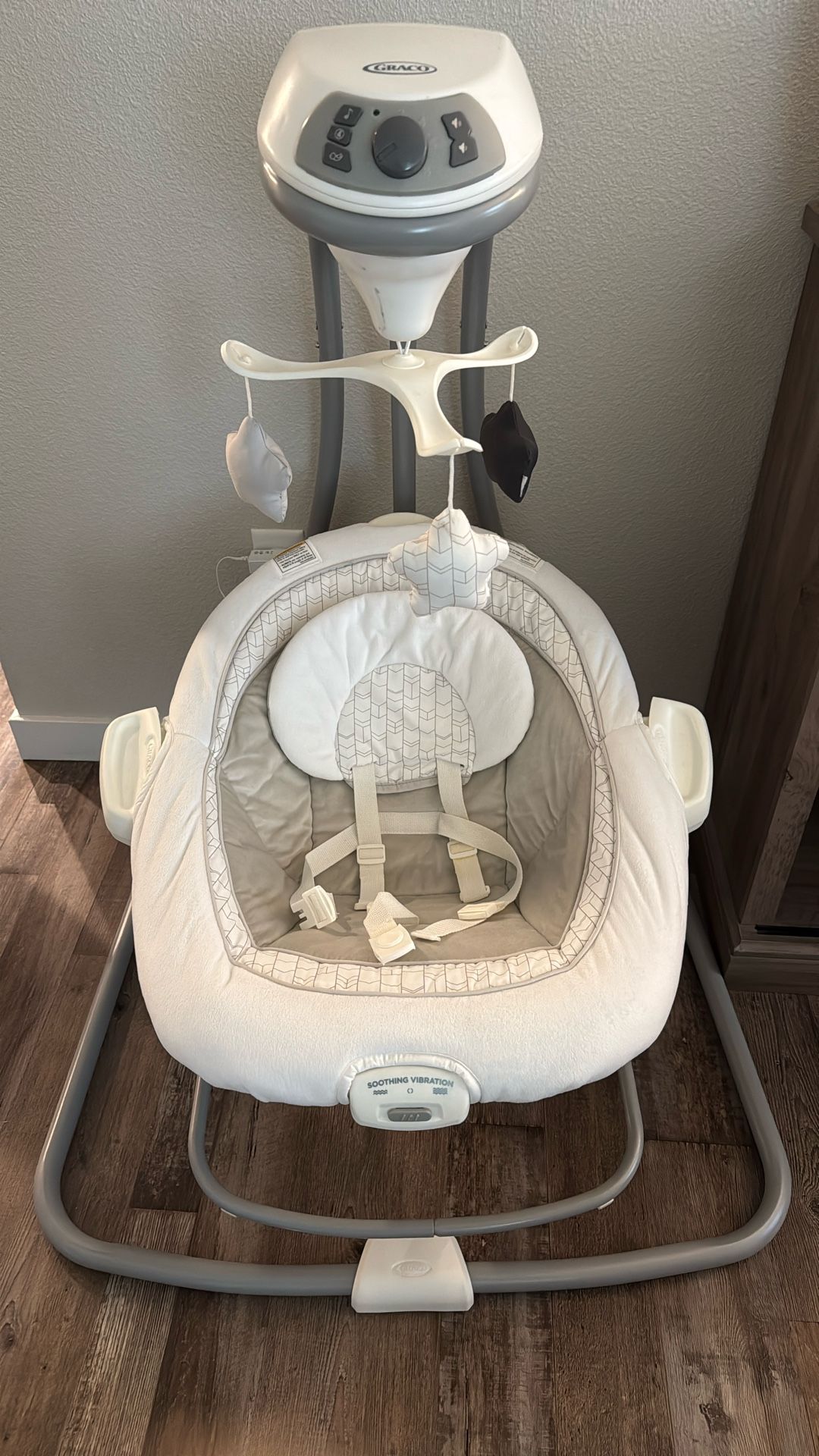 Graco Two In One Infant Swing And Seat