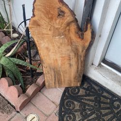 Michigan Wood Slab 5$
