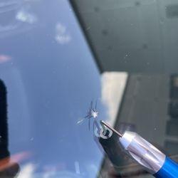 Professional Windshield Repair 