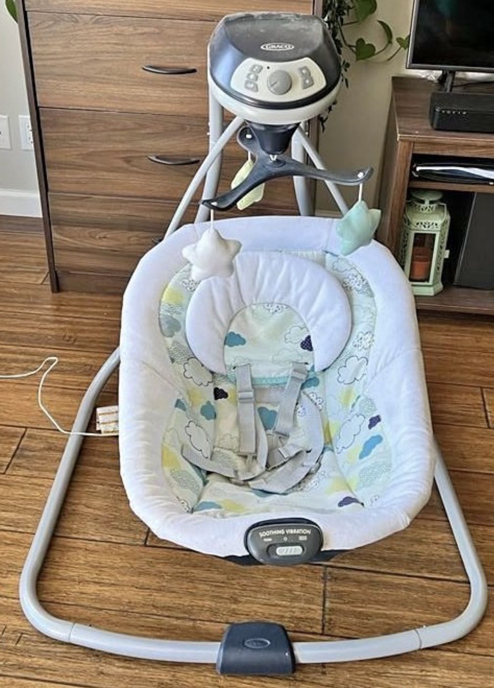 Graco Baby Swing 