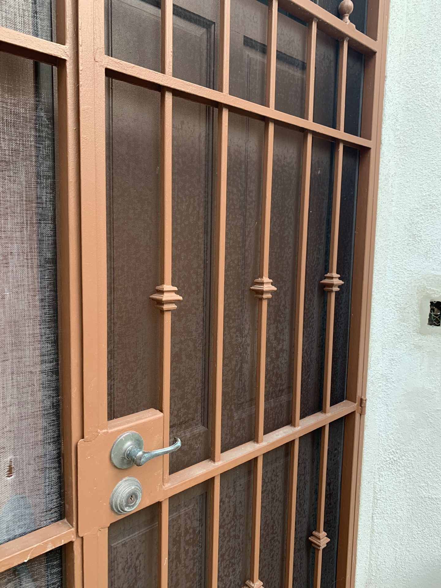 Double Wrought Iron Security Door Gate