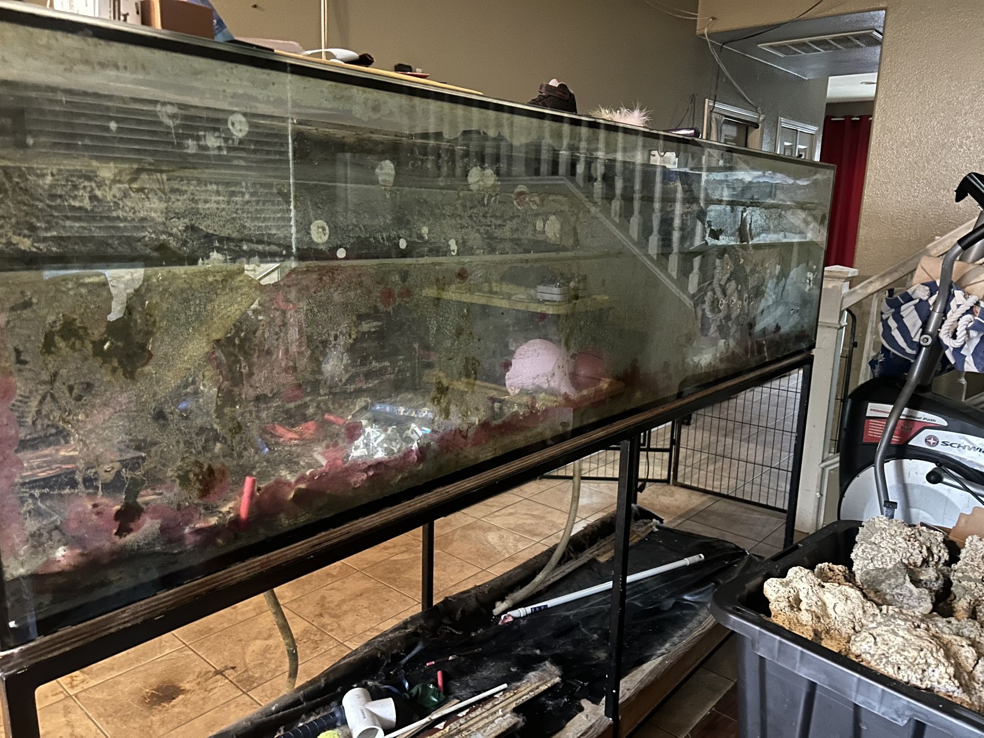 240 Gallon Glass Tank W/ Stand And Fitted Sump