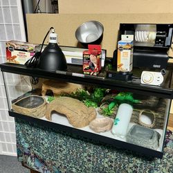 40 Gallon Tank (Entire Setup included)