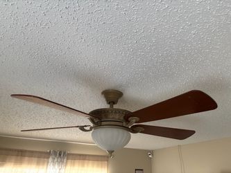 Ceiling fan with light