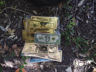 Gold plated money