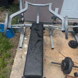 Chest Press Machine