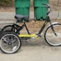 Adult Tricycle 