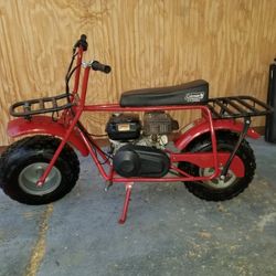 Mini Bike
