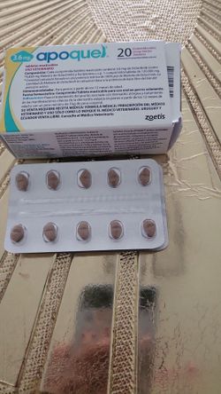 apoquel  two new blister packs
