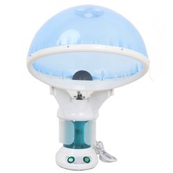2 in 1 Mini Ozone Facial Steamer Hair Steamer, Blue/White