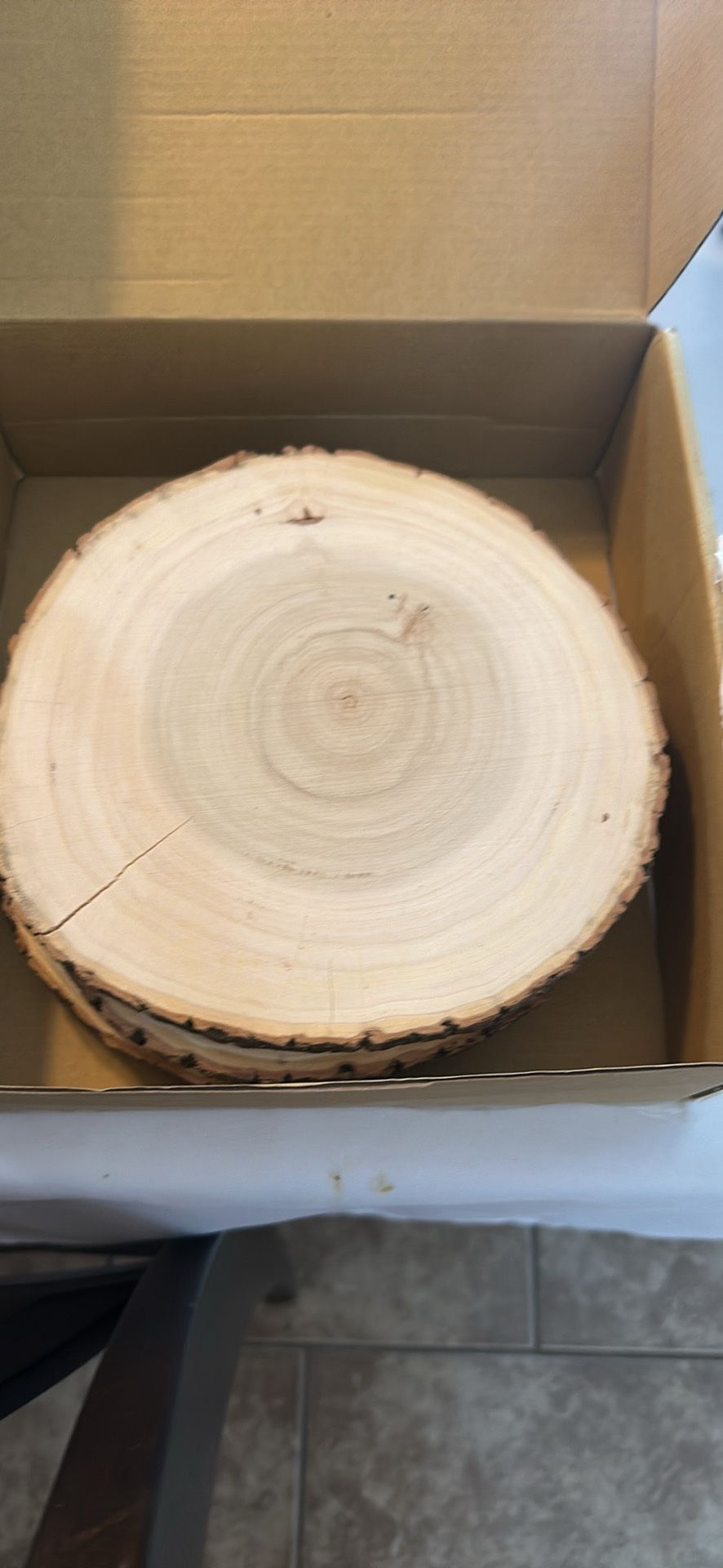Tree Decorative Slices