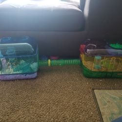 Hamster Cage