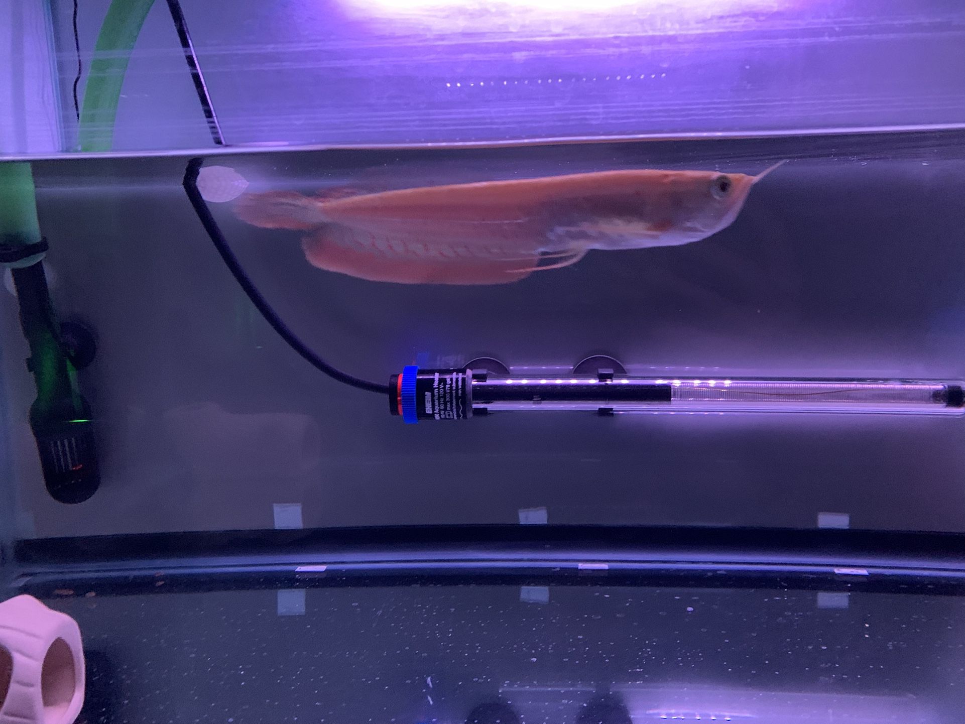 60 Gallons Acrylic Fish Tank And Decors