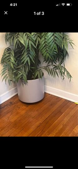 Artificial Plant 6 Ft High With Ceramic Base