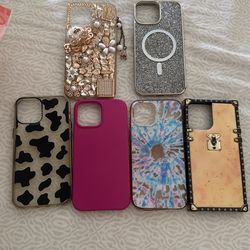 iPhone 12 Pro Max Cases