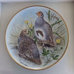 Gamebirds of the world