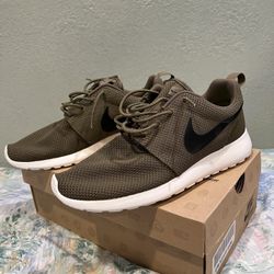 Iguana Nike Roshe Run