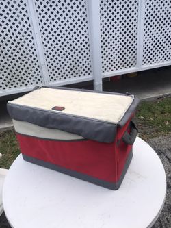 Thermos Picnic Beach Cooler