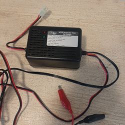 Remote control car battery charger 