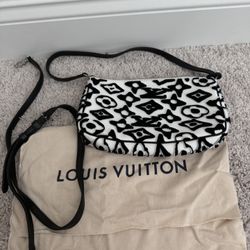 LV pochette accessoire cloth handbag