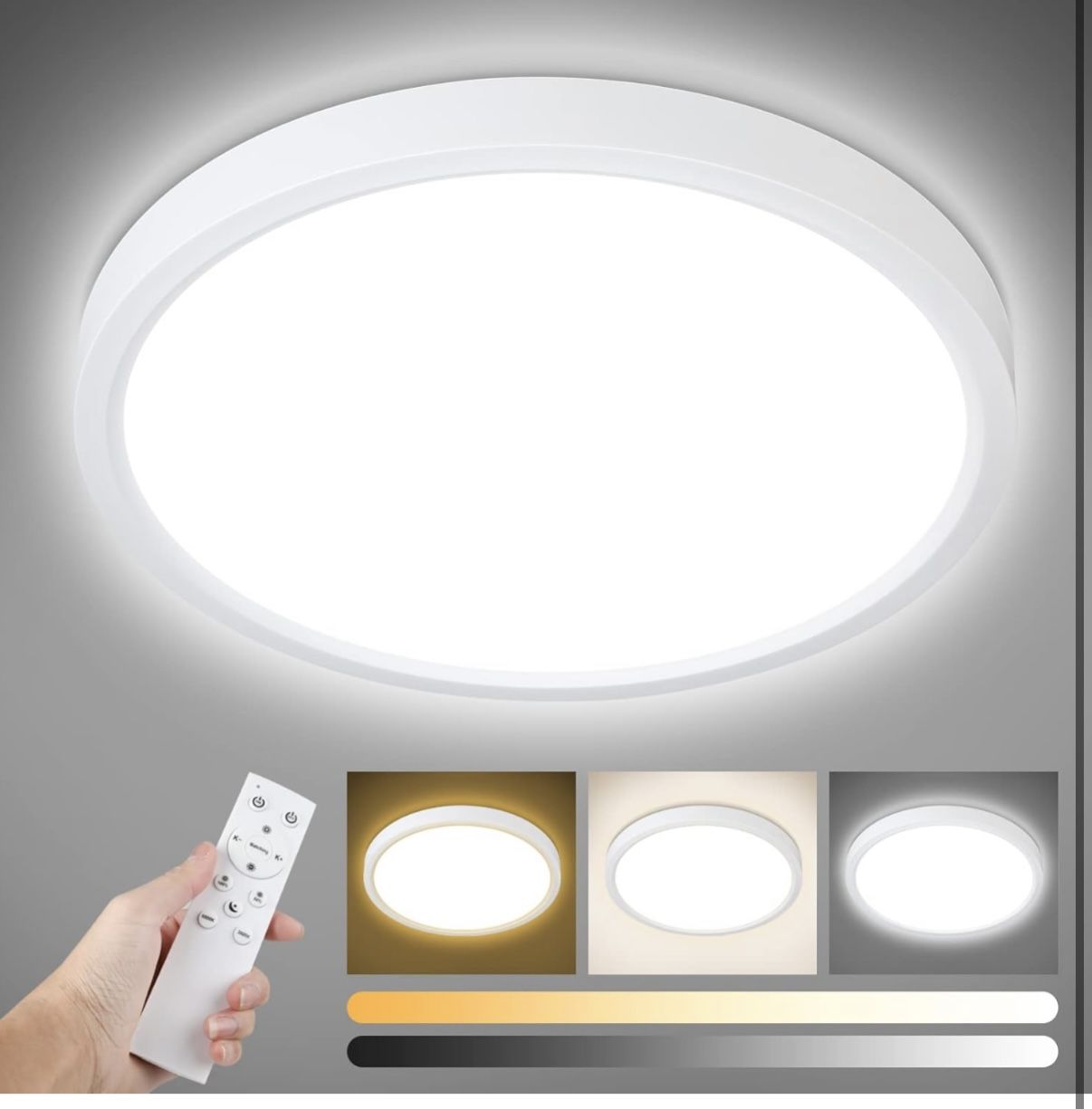 Ceiling light