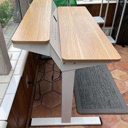 FLEXISPOT E1FR Height Adjustable Standing Desk 