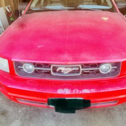 Mustang 2006